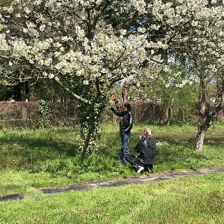 Hostel Hof Maerkische Heide Brandenburg  Zewnętrze zdjęcie