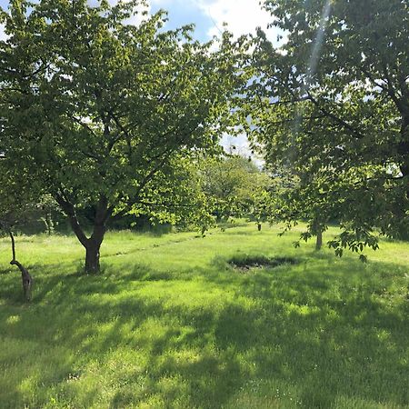 Hostel Hof Maerkische Heide Brandenburg  Zewnętrze zdjęcie